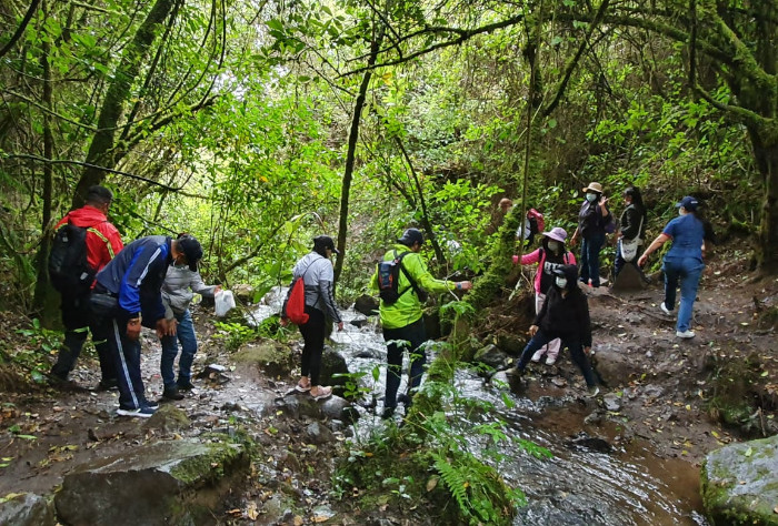 Caminata ecológica